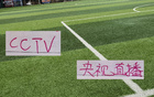 第23轮 !CCTV直播中超比赛暂定有 申花VS河南