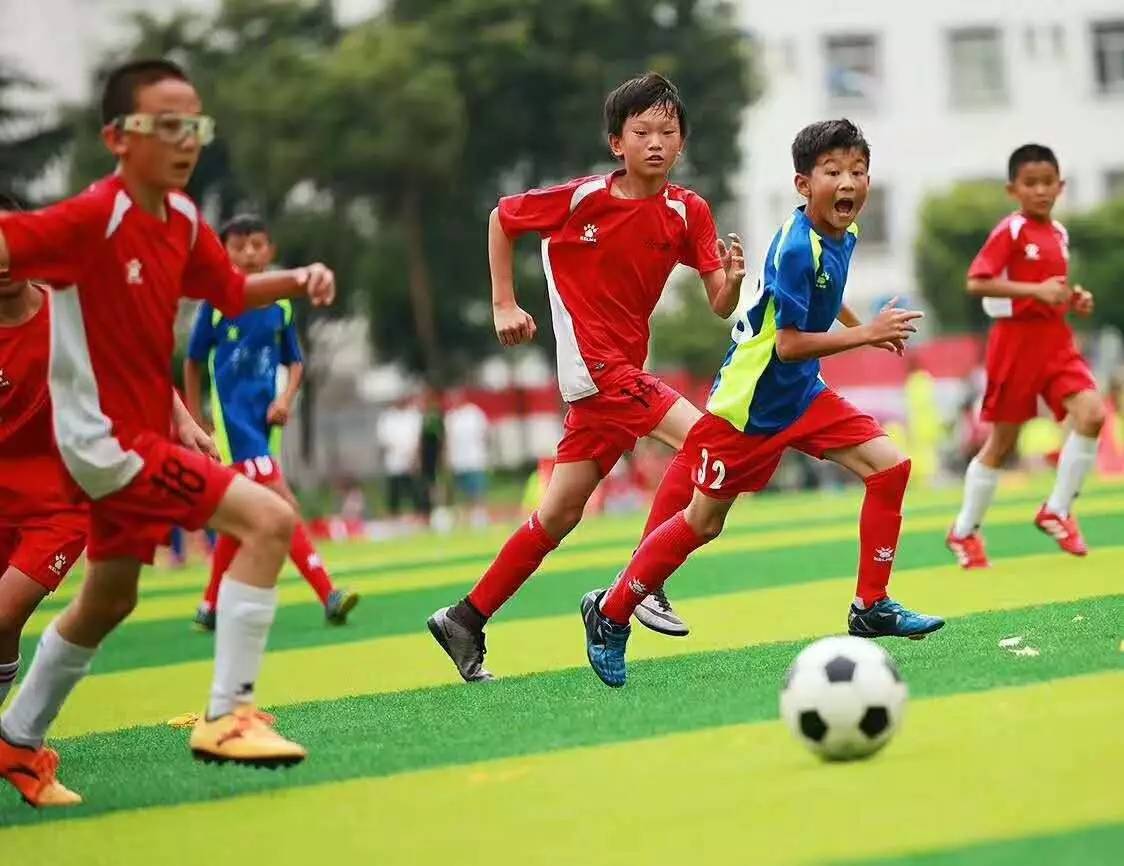 中超直播_中超无插件免费高清直播_中超直播多机位