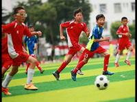 阿森纳VS科莫直播_阿森纳VS科莫免费观看无插件直播_阿森纳VS科莫直播超高清视觉享受